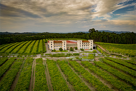 Imagen aérea La Val, pionera del albariño en Rias Baixas