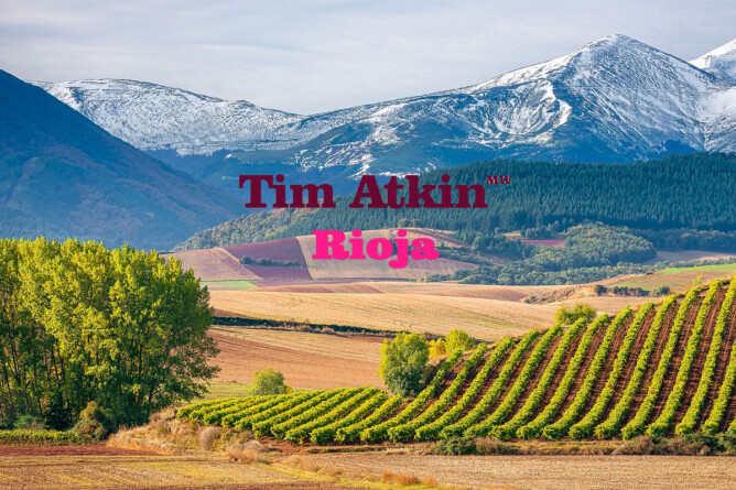 Paisaje montaña viñedo Rioja